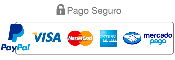 Pago seguro